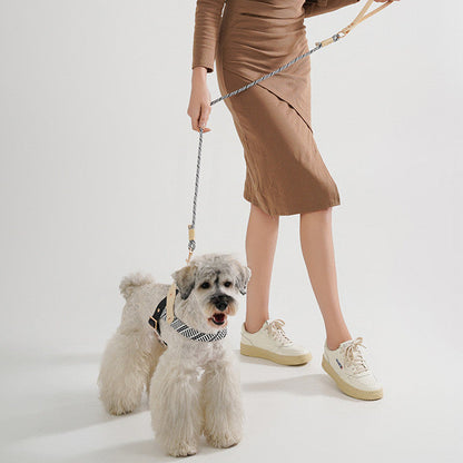 Adjustable Nylon PVC Dog Collar and Harness Set with Chain Ring for Pets