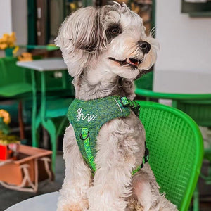 Adjustable Polyester Dog Harness Vest with Leash for Small Pets