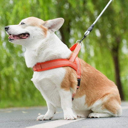 Adjustable Rope Chest Strap Harness for Pets Polyester with Chain Ring - Teleplus chest strap rope