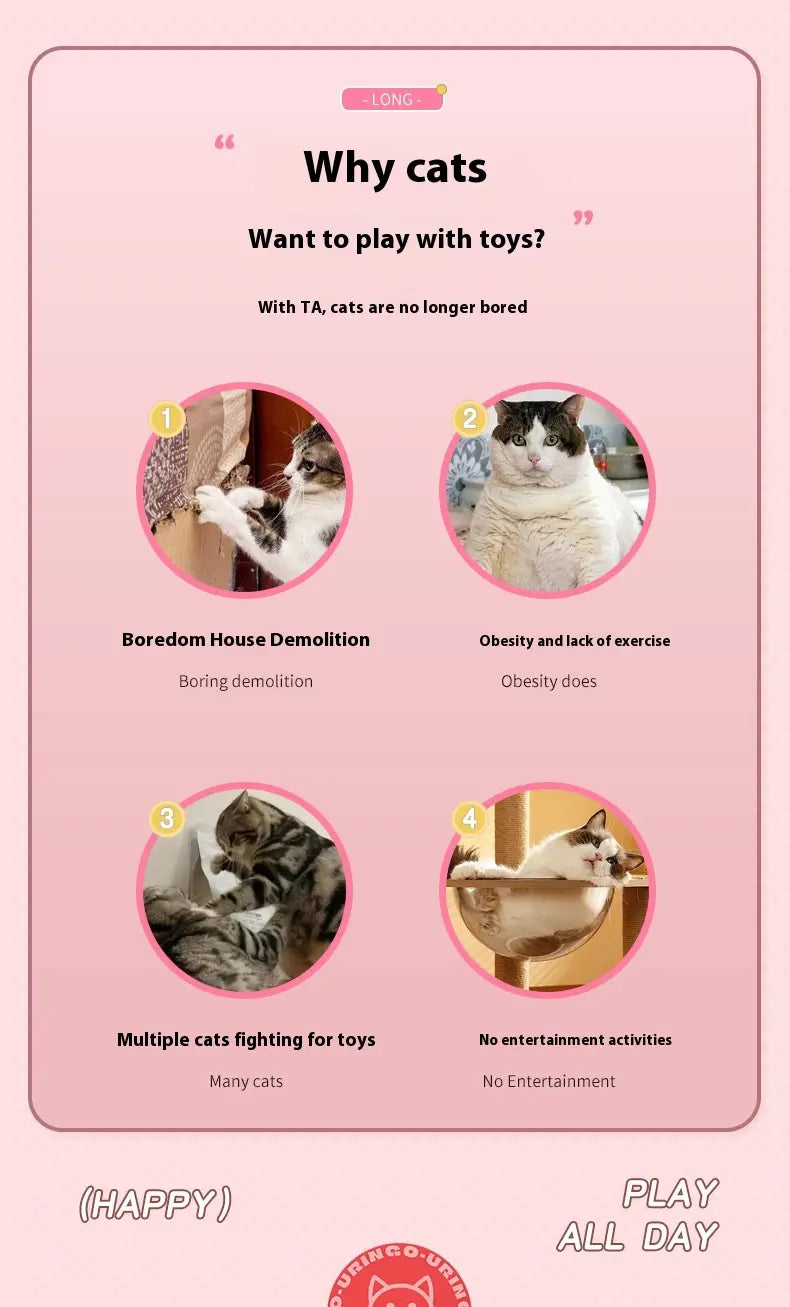 Kassipalliroheline ja oranž interaktiivne veerev kuuli mänguasi lemmikloomadele