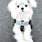 Anti Bite Dog Leash H03 Brown Nylon Cotton Polyester Strong Traction Rope - Teleplus h03 brown
