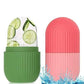 Apply Face Ice Tray Shell Pattern Facial Edema Massage Ice Tray Beauty Supplies - Chill Out with Shell Pattern Face Ice