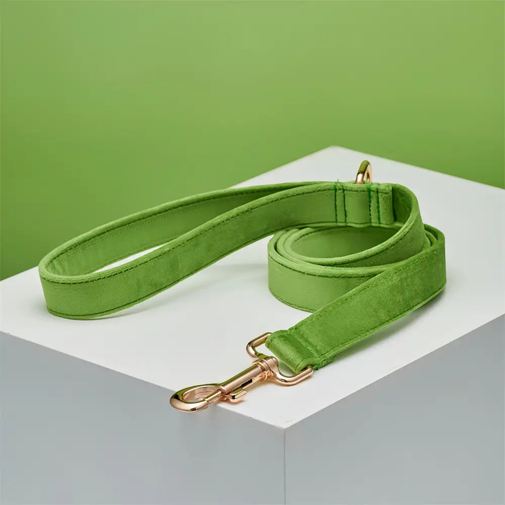 Collier de corde en orange corallien et animal de compagnie réglable vert à eau légère