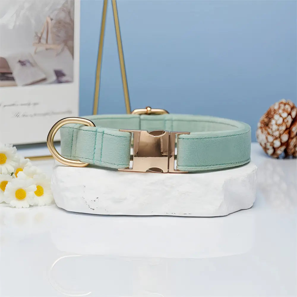 Collier de corde en orange corallien et animal de compagnie réglable vert à eau légère