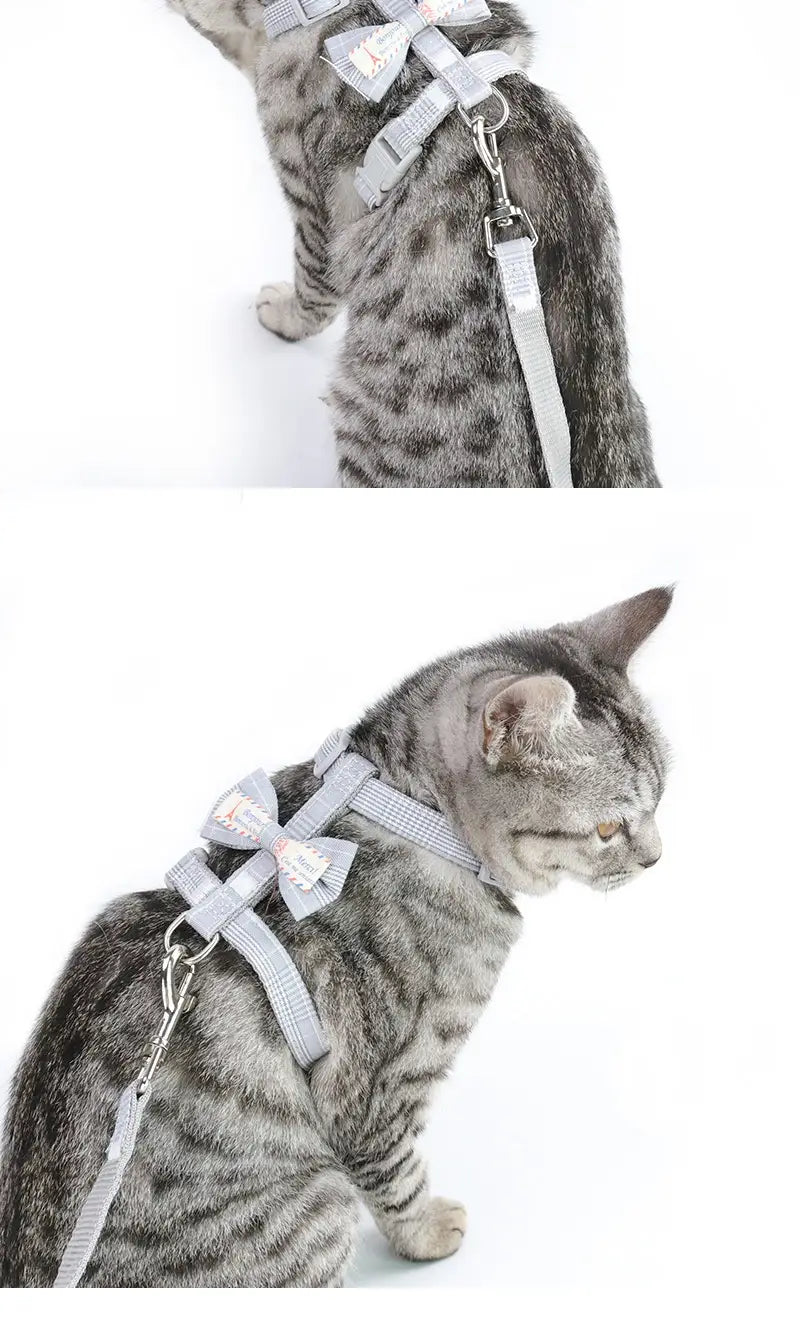 Small Dog Leash Adjustable Nylon Pet Lead for Puppies Gray Green Pink