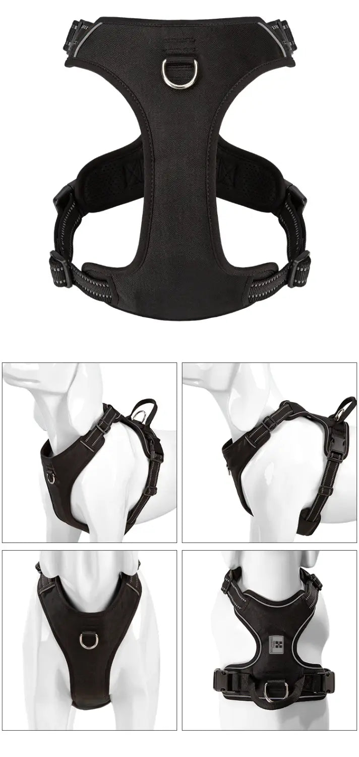 Laisse animale mains libres avec bracelet mammaire réglable pour circonférence thoracique X