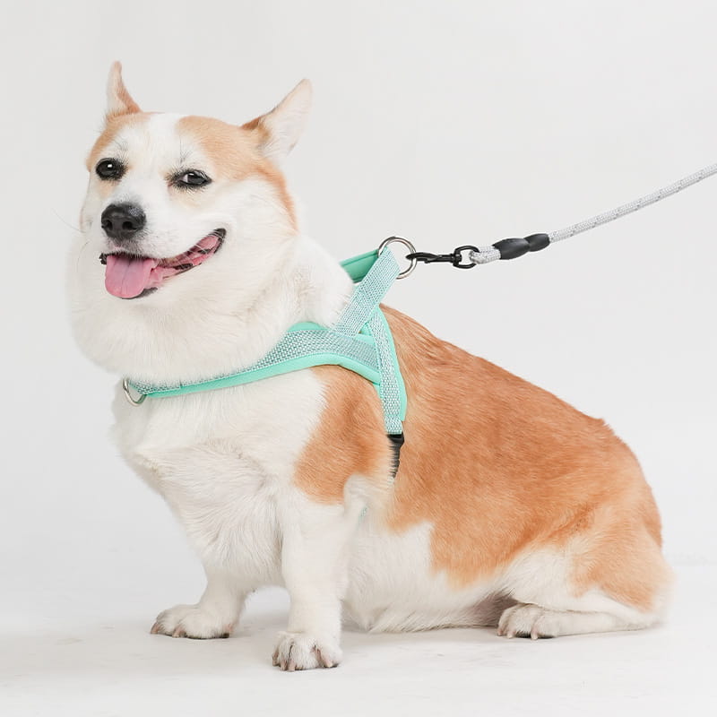 Regulowany pasek na klatkę piersiową do zwierząt domowych poliester z pierścieniem łańcuchowym