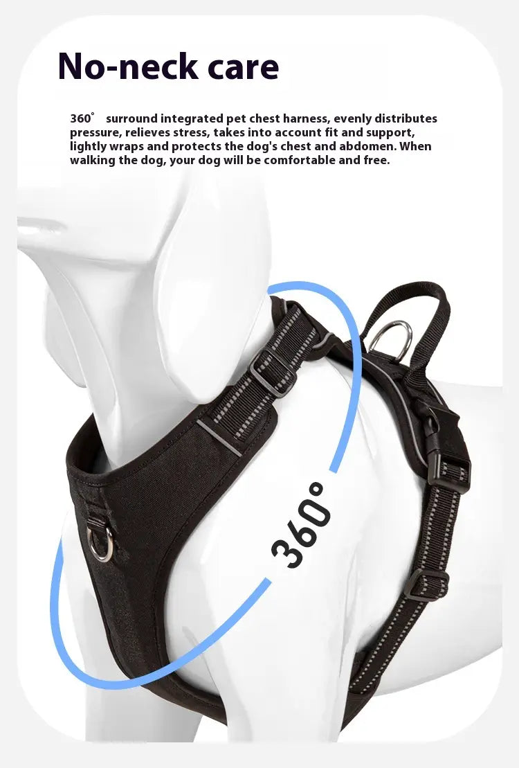 Laisse animale mains libres avec bracelet mammaire réglable pour circonférence thoracique X