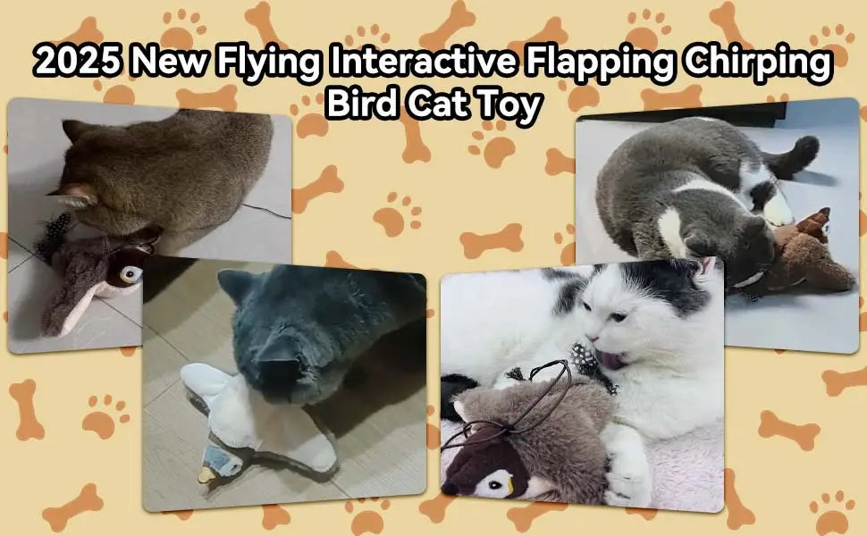 Interactive Bird Cat Toy with Realistic Feather Tail for Active Play