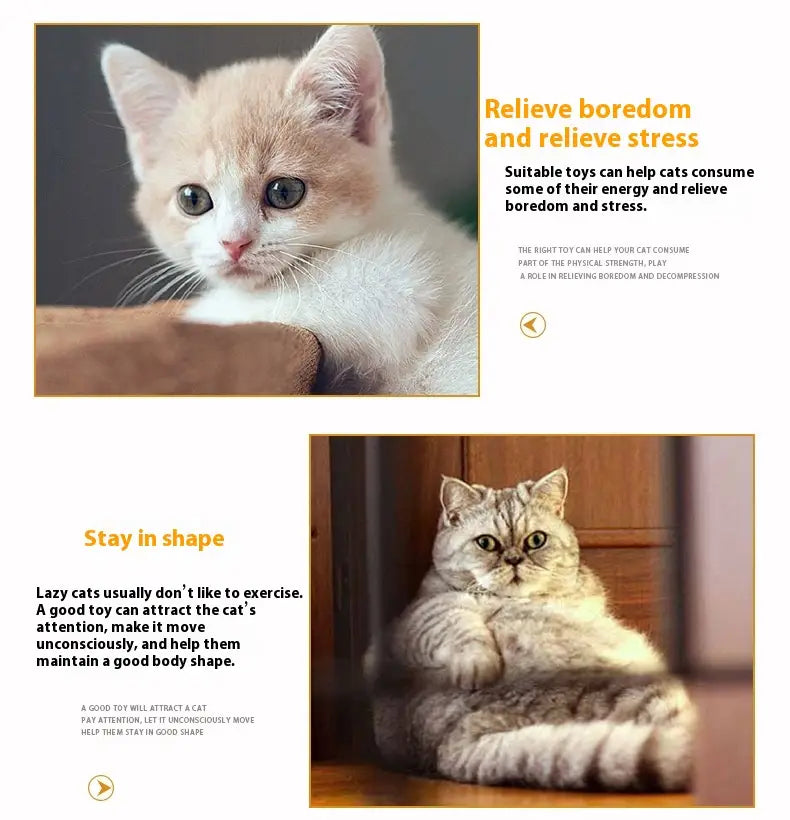 12-delade husdjursleksaker som sattes på hundar och katter diverse polyestertillbehör