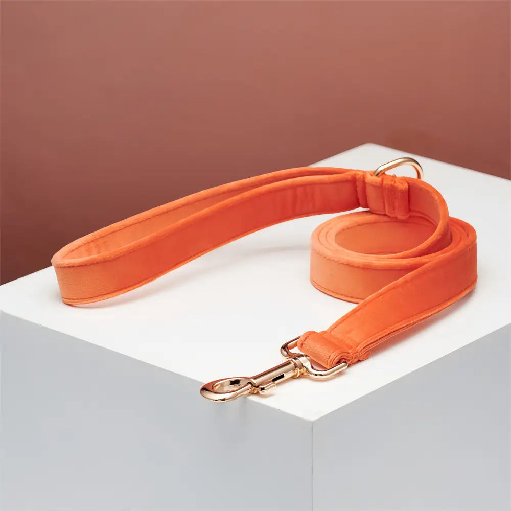 Collier de corde en orange corallien et animal de compagnie réglable vert à eau légère