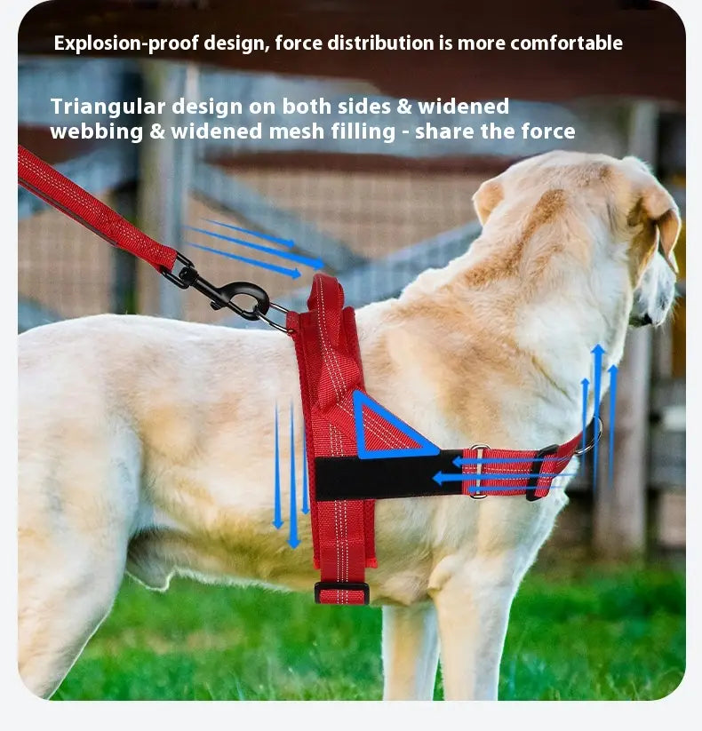 Käed tasuta lemmikloomarihmaga, hoides trossi reguleeritavat nailonist koera kõndimist plii