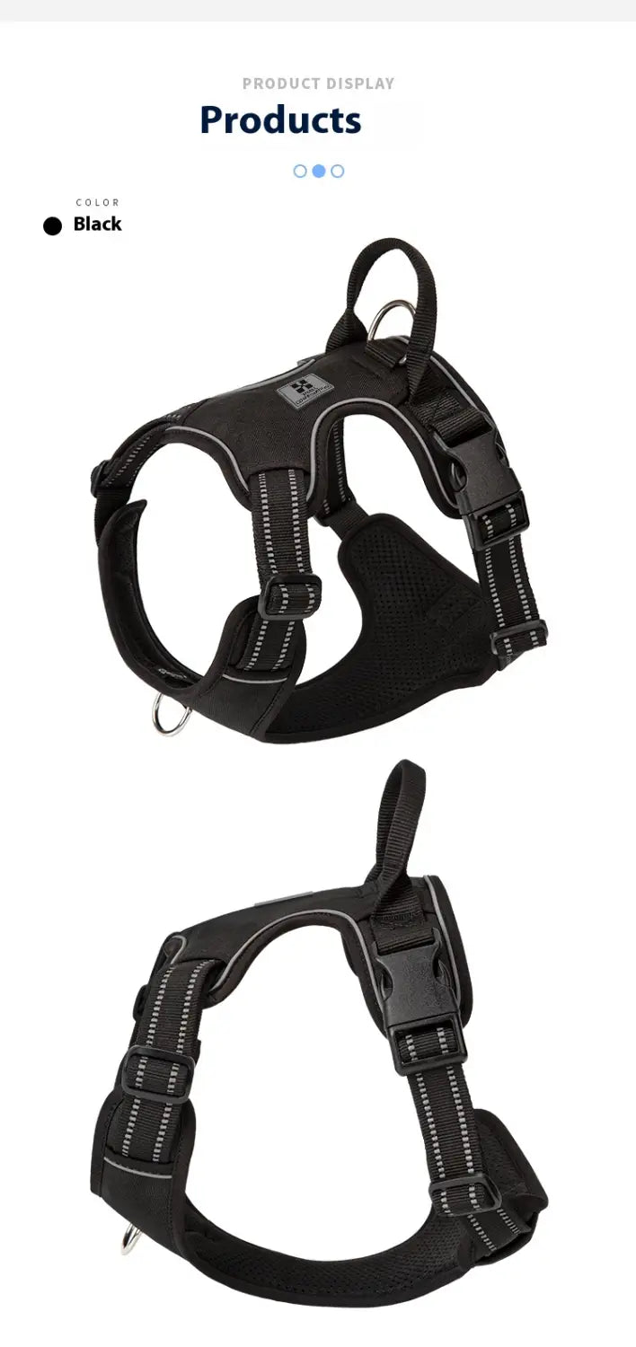 Laisse animale mains libres avec bracelet mammaire réglable pour circonférence thoracique X