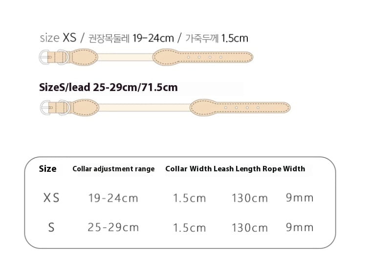 Double animal laisse main tenant corde anti-morsure en cuir de chien