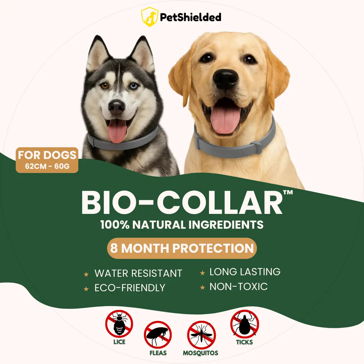 Collier aux puces avec matériau de gel de silice TPR et taille de poudre efficace pour les animaux de compagnie