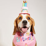 Birthday Hat and Triangle Loose-Leaf Binder Set for Dogs Pets - triangle loose-leaf binder birthday hat