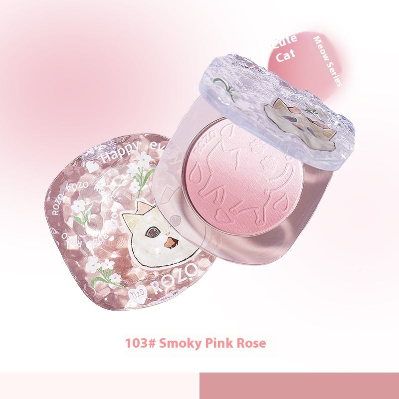 Blusher Plate x1pc with Brush for Oily Dry Sensitive and Mixed Skin Types - All Teleplus plate blusher skin types