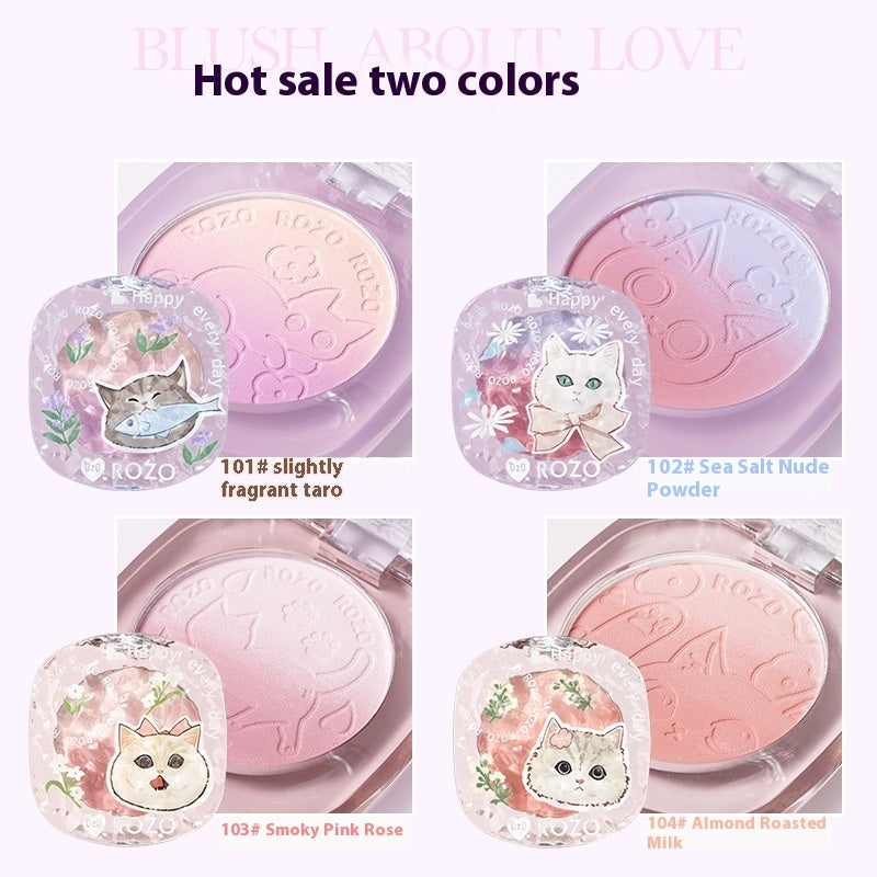 Blusher Plate x1pc with Brush for Oily Dry Sensitive and Mixed Skin Types - All Teleplus plate blusher skin types