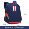 Jungen und Mädchen setzen den Rucksack für Kinder - Royal Blue Plus Size