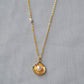 Brass Gold-plated Minimalist Gold Shell Freshwater Pearl Necklace - Chic Gold Shell Necklace for Pearl Lovers with Style