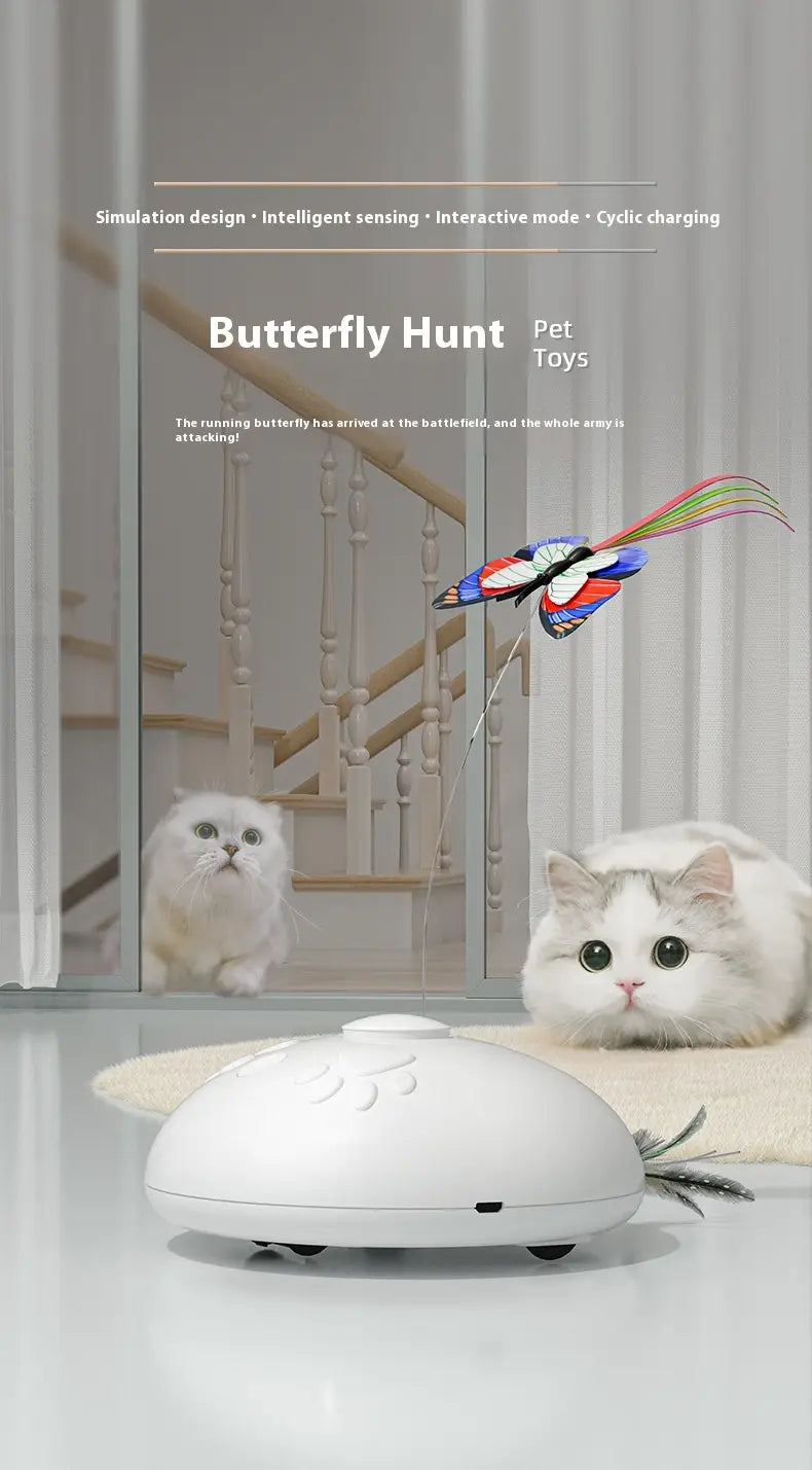 Interaktive Federkatze Spielzeug für Innenkatzen jagen und spiele Übung