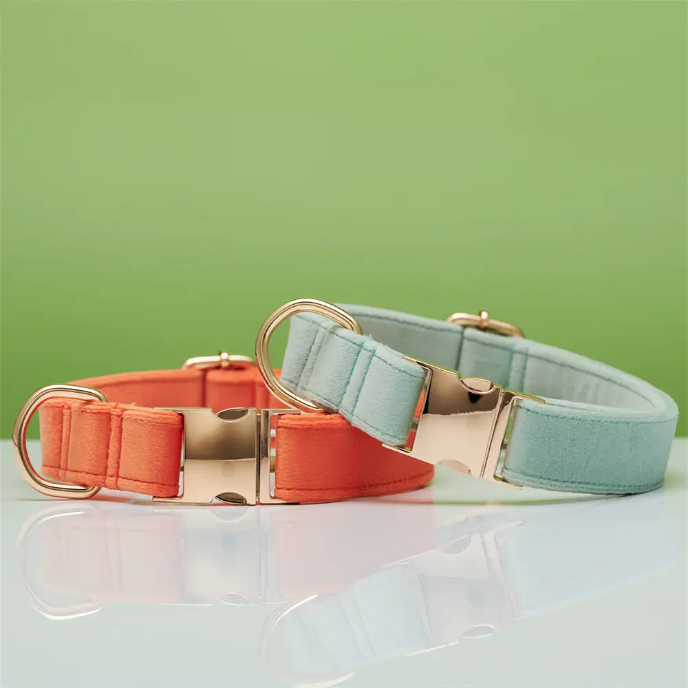 Collier de corde en orange corallien et animal de compagnie réglable vert à eau légère