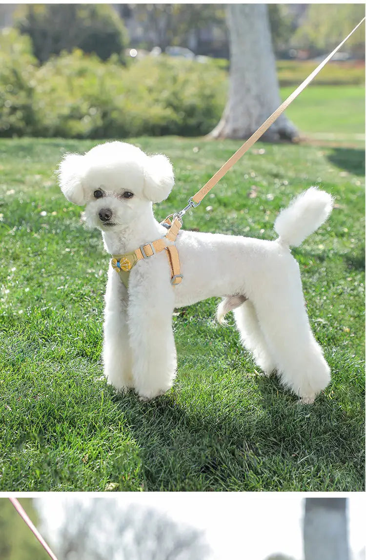 Harnais de chien réglable et laisse réglé à lamelle molle sans trait de poitrine de compagnie