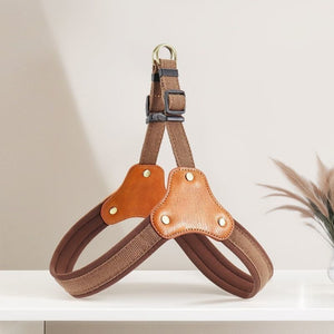 Cat Harness and Leash Set Adjustable Soft Vest with Safety Breakaway Collar - for Cats Teleplus