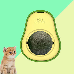 Catnip Ball Toy Avocado Peppermint Dental Chew for Cats Teeth Cleaning - Teleplus