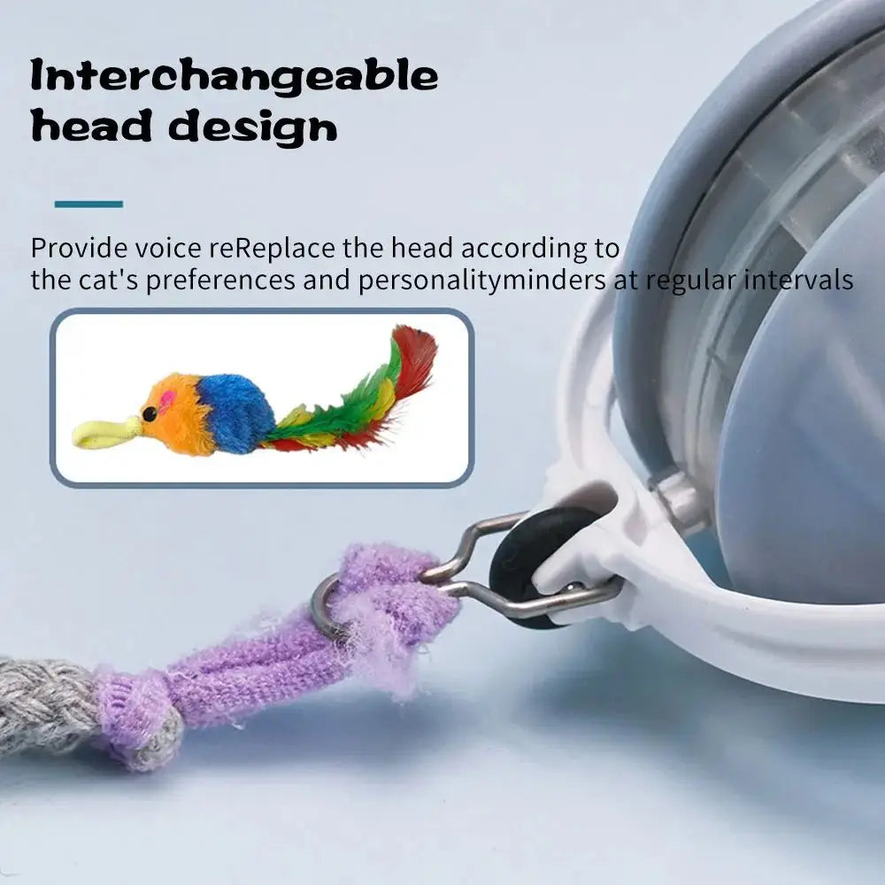 Boule de jouet chat amélioré avec mouvement irrégulier et plusieurs modes de travail