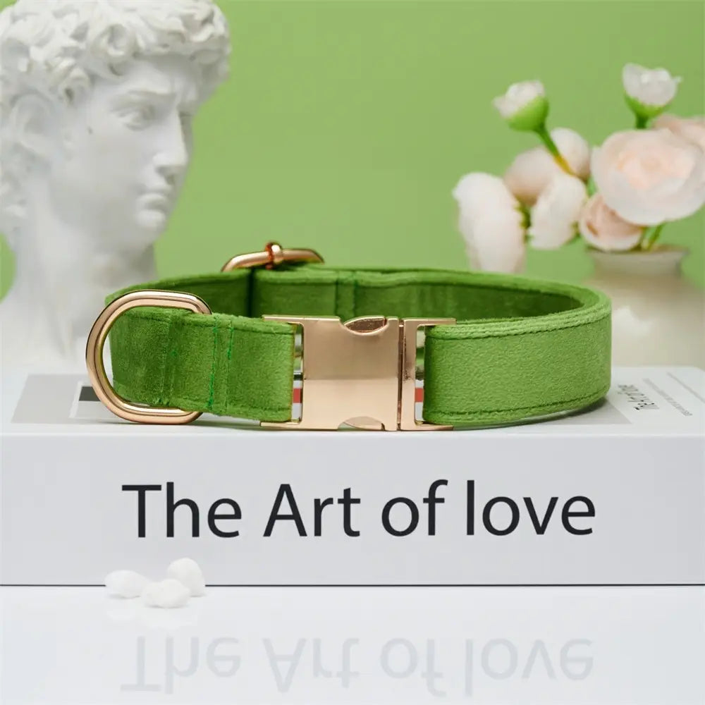 Collier de corde en orange corallien et animal de compagnie réglable vert à eau légère