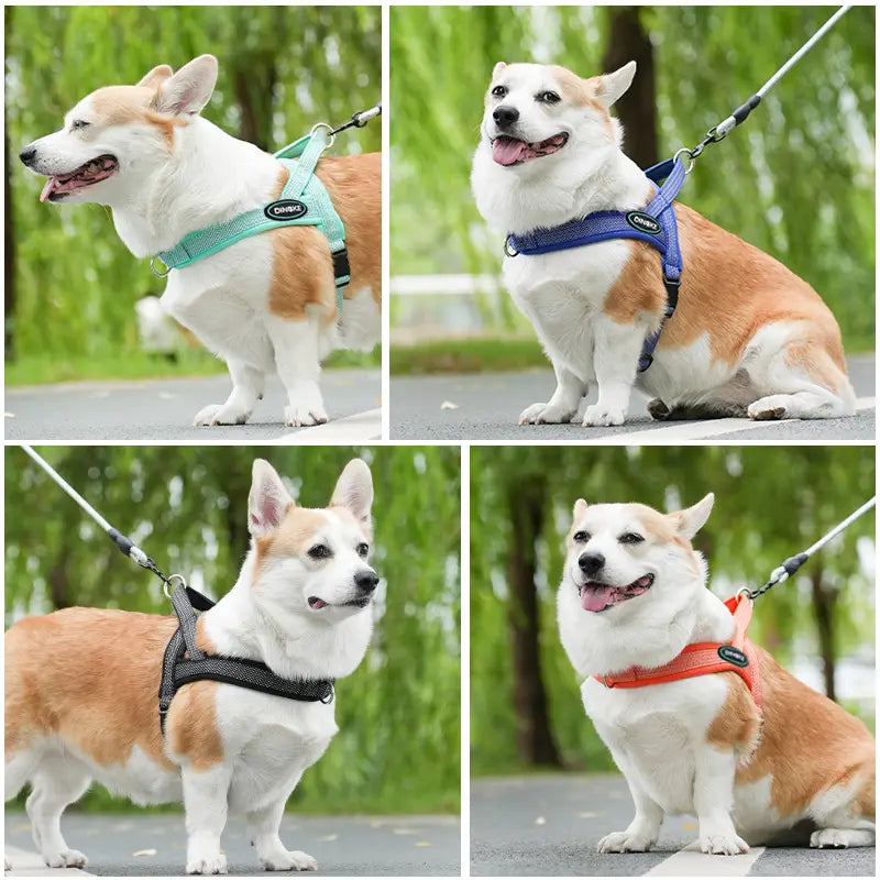 Regulowany pasek na klatkę piersiową do zwierząt domowych poliester z pierścieniem łańcuchowym