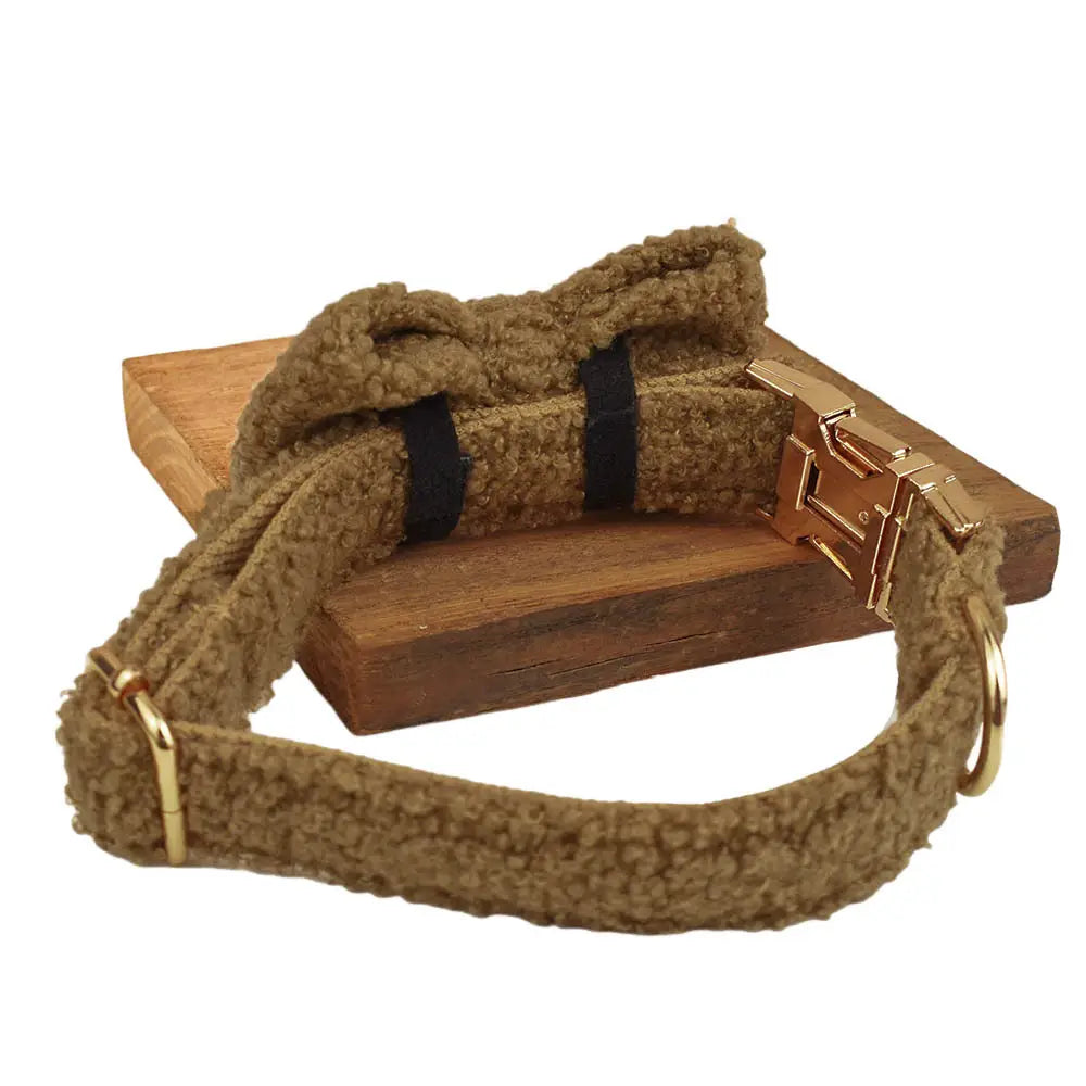 Collar de perro y correa con chaleco de arco de banda circular para mascotas