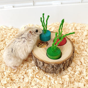Color Wooden Lid Type Storage Bag for Pet Toys with - Teleplus color wooden lid type
