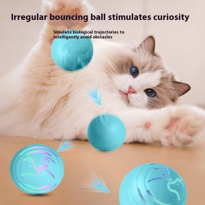 Colorful Bouncy Ball TPU Pet Toy for Dogs and Cats Interactive Play