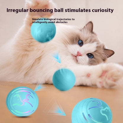 Colorful Bouncy Ball TPU Pet Toy for Dogs and Cats Interactive Play