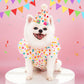 Colorful Dots Pet Dress Hat and Saliva Towel Set for Small Medium Dogs - Teleplus colorful dots