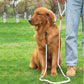 Colorful Nylon Pet Leash Rope with Chain Ring for Dogs and Cats - Dog Cat Teleplus