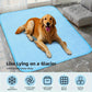Cooling Silk Pad Pet Bed for Small Dogs and Cats Summer Sleeping Mat - Teleplus silk pad