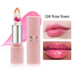 Crystal Jelly Lipstick with Nonstick Moisturizing Formula in Vibrant Shades - Teleplus crystal jelly temperature change