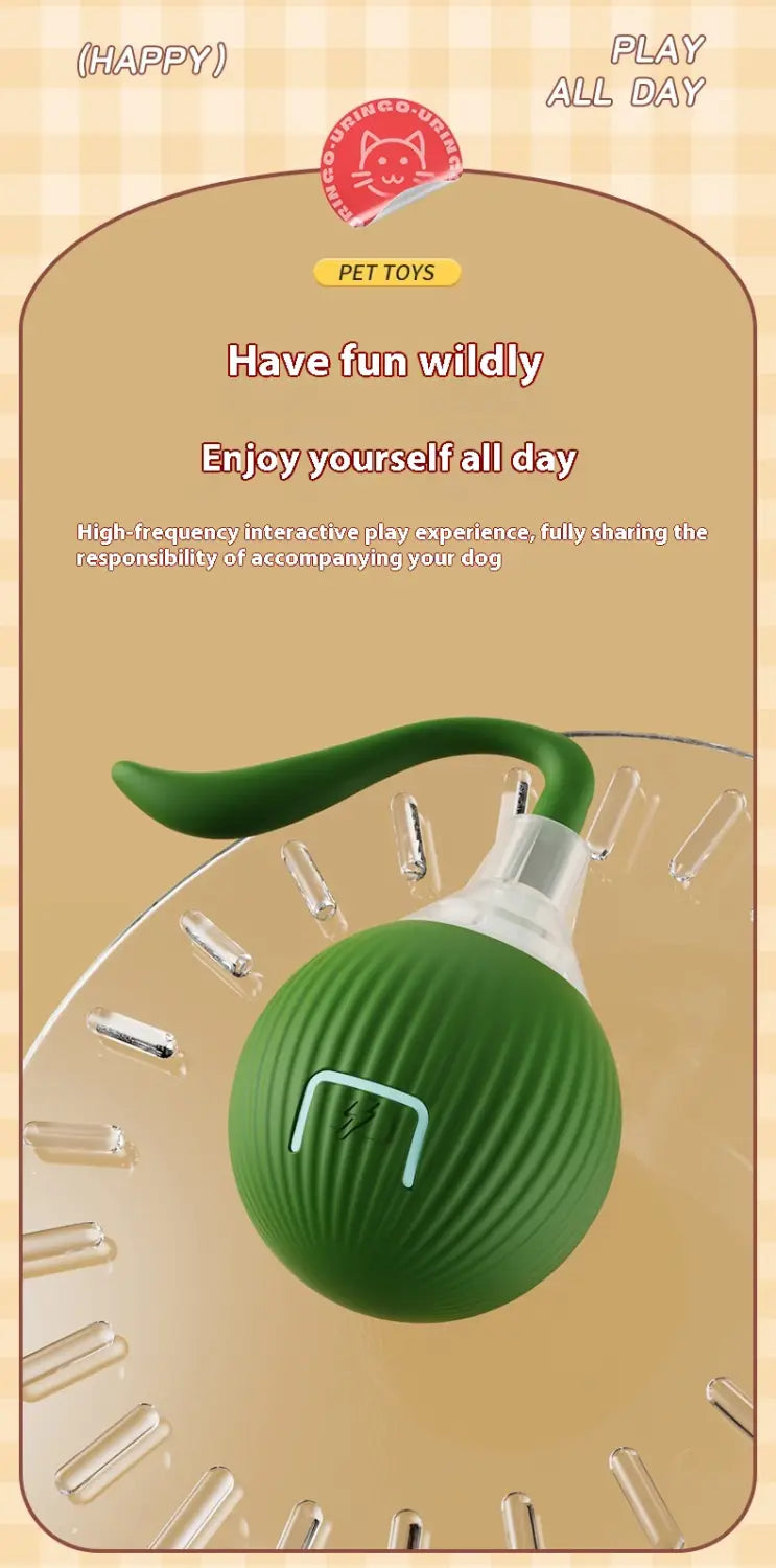 Interaktiivinen kissan kiusallinen pallolelu korkean energian kissojen mattoystävälliselle