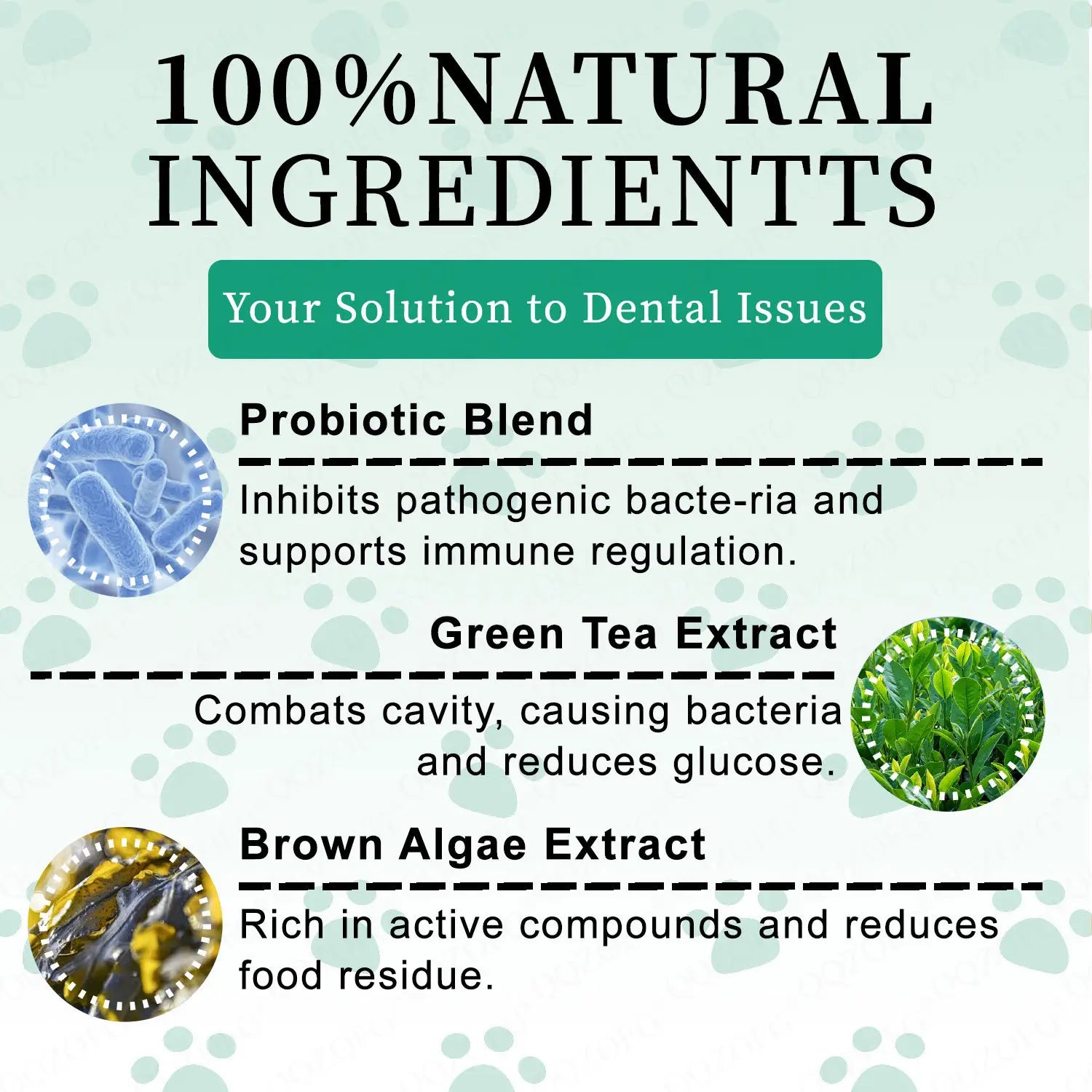 Lemmikloomade hammaste puhastuspulber koertele ja kassidele suuhooldus 100g