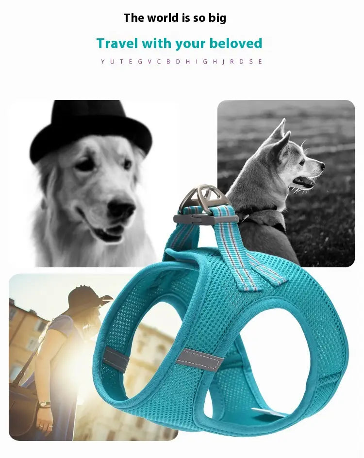 Macska kitörő biztonsági gallér hálószalaggal és kézi kötéllel több színben