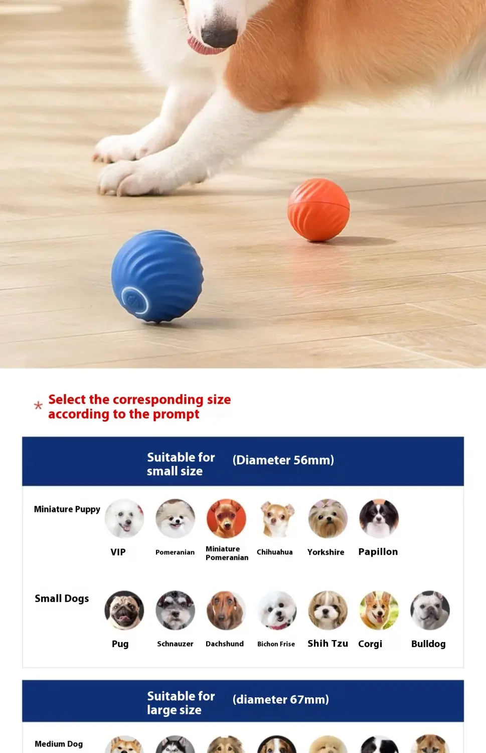 Hüppepall-56mm ja pall-67mm koos merisiiliku kaanega lemmiklooma mänguasjakomplektiga