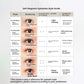 Disposable Delicate Eye Lashes with Magnetic Suction and Zero Glue Design - magnetic suction false eyelashes zero glue