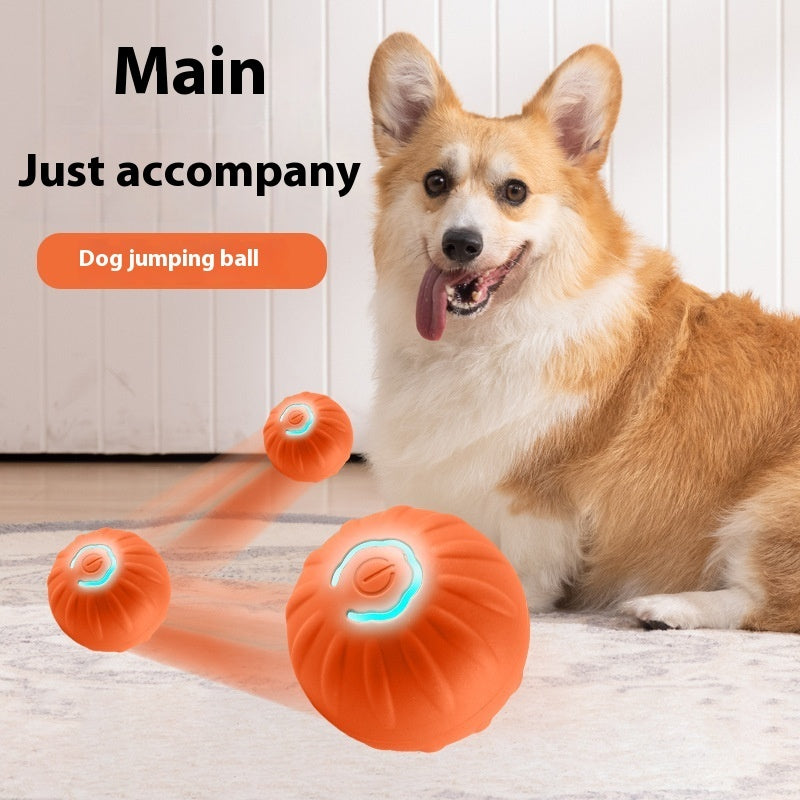 Dog Ball Convex TPR Pet Toy with Data Cable Blue or Orange for Dogs - [dog ball convex]