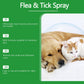 Dog Insect Repellent Spray 100ml Natural Flea and Tick Protection - insect repellent