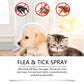Dog Insect Repellent Spray 100ml Natural Flea and Tick Protection - insect repellent