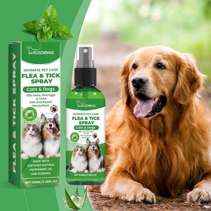 Dog Insect Repellent Spray 100ml Natural Flea and Tick Protection - insect repellent
