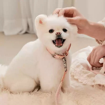 Double Pet Leash Hand Holding Rope Anti Bite Leather Dog Set XS S Teleplus hand holding rope collar